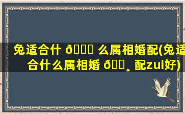 兔适合什 🕊 么属相婚配(兔适合什么属相婚 🌸 配zui
好)